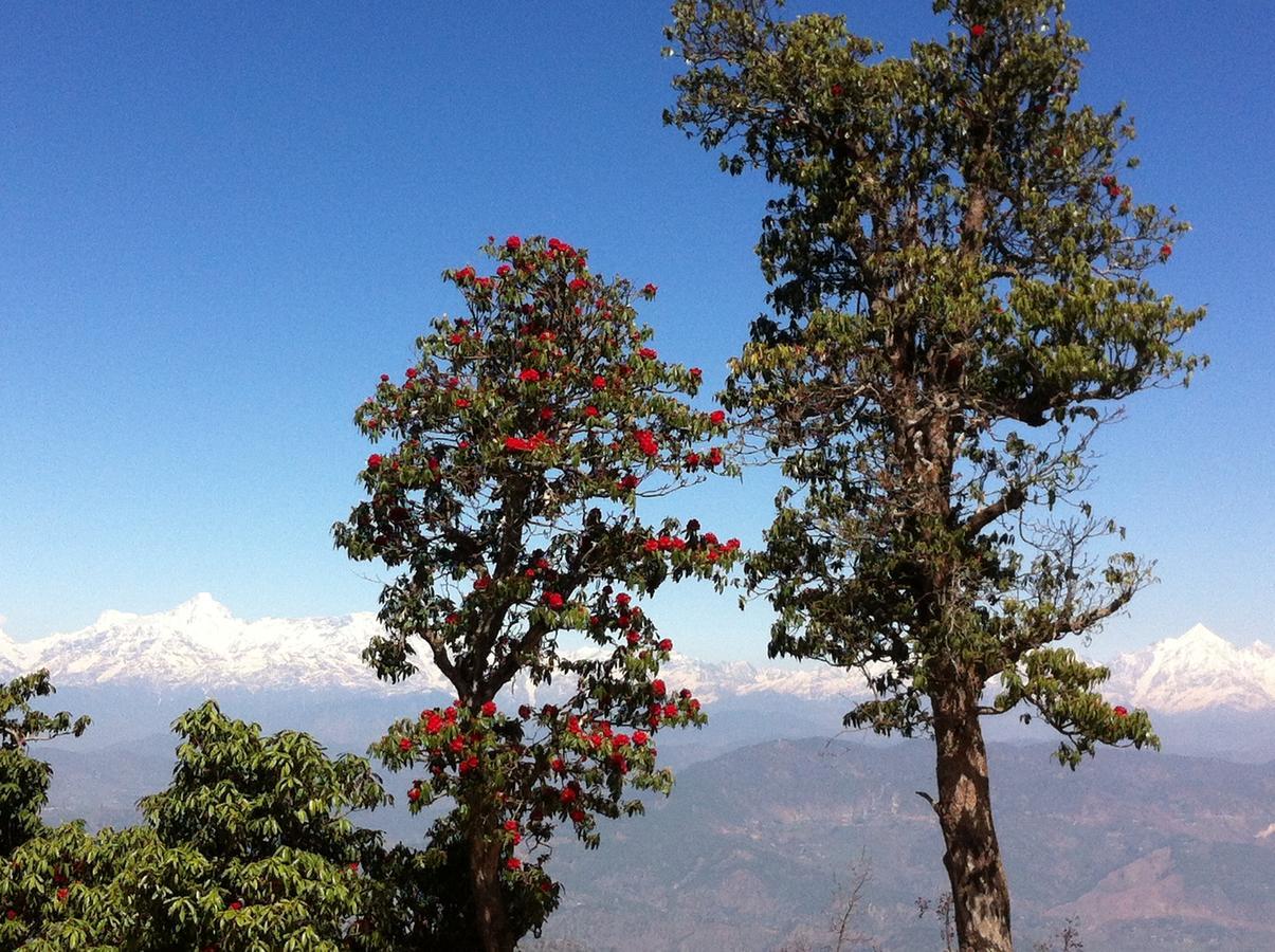 Thikalna Himalayan Retreat Βίλα Almora Εξωτερικό φωτογραφία